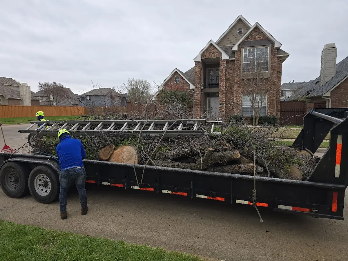 Expert Tree Removal with proper safety equipment in Bancroft